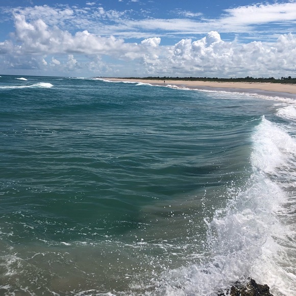 Meet the Posher Other - Meet your Posher!